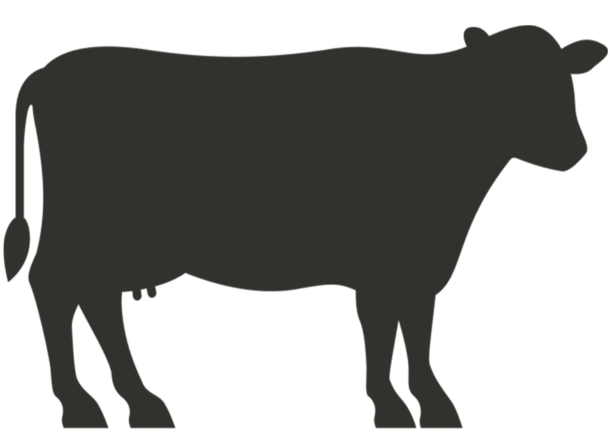 Elite Plus Full Cow 130-150 Kg