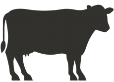 Elite Plus Full Cow 130-150 Kg