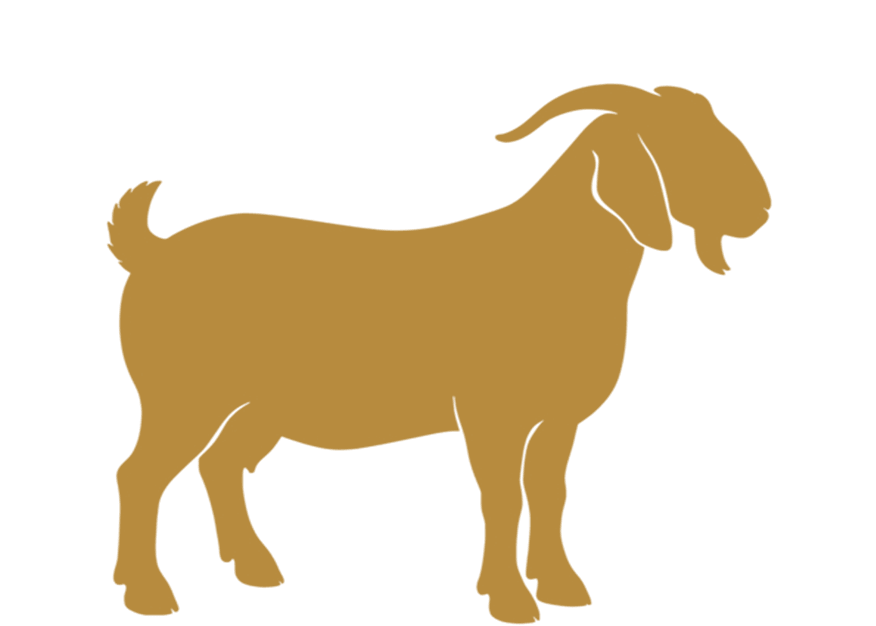 Premium Bakra 15-18 Kg